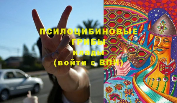 PSILOCYBIN Алзамай