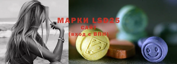 PSILOCYBIN Алзамай