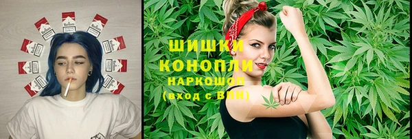 PSILOCYBIN Алзамай