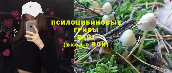 твердый Алексеевка