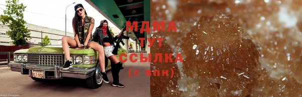 PSILOCYBIN Алзамай