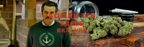 PSILOCYBIN Алзамай
