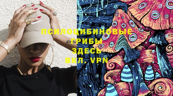 твердый Алексеевка